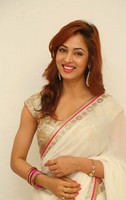 Vidisha in Saree Stills